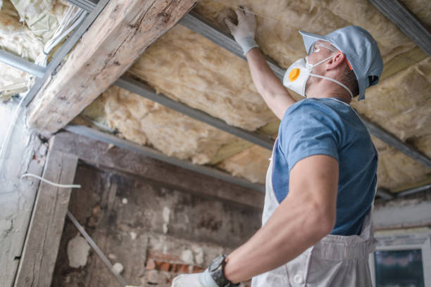 Professional Insulation Contractor in AR