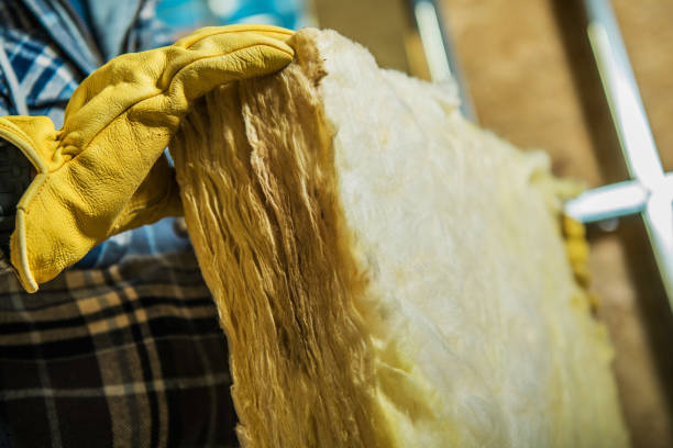 Best Commercial Insulation in Piney, AR