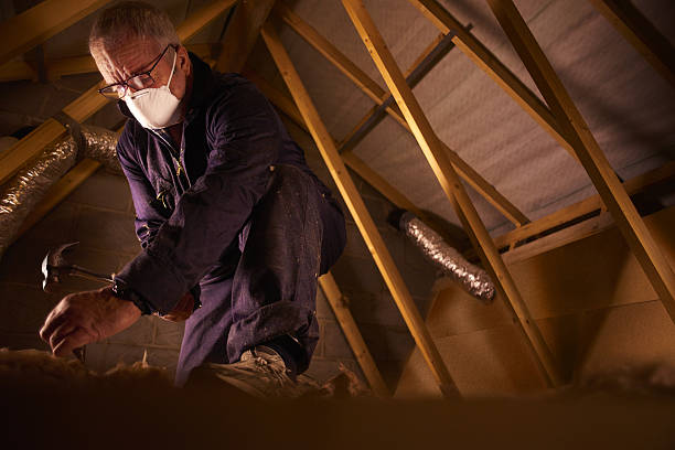 Best Residential Insulation in Piney, AR